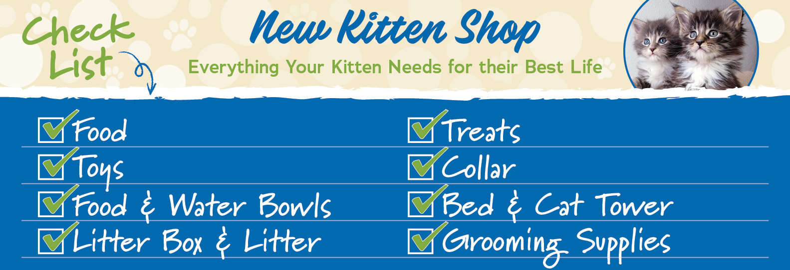New Kitten Shop