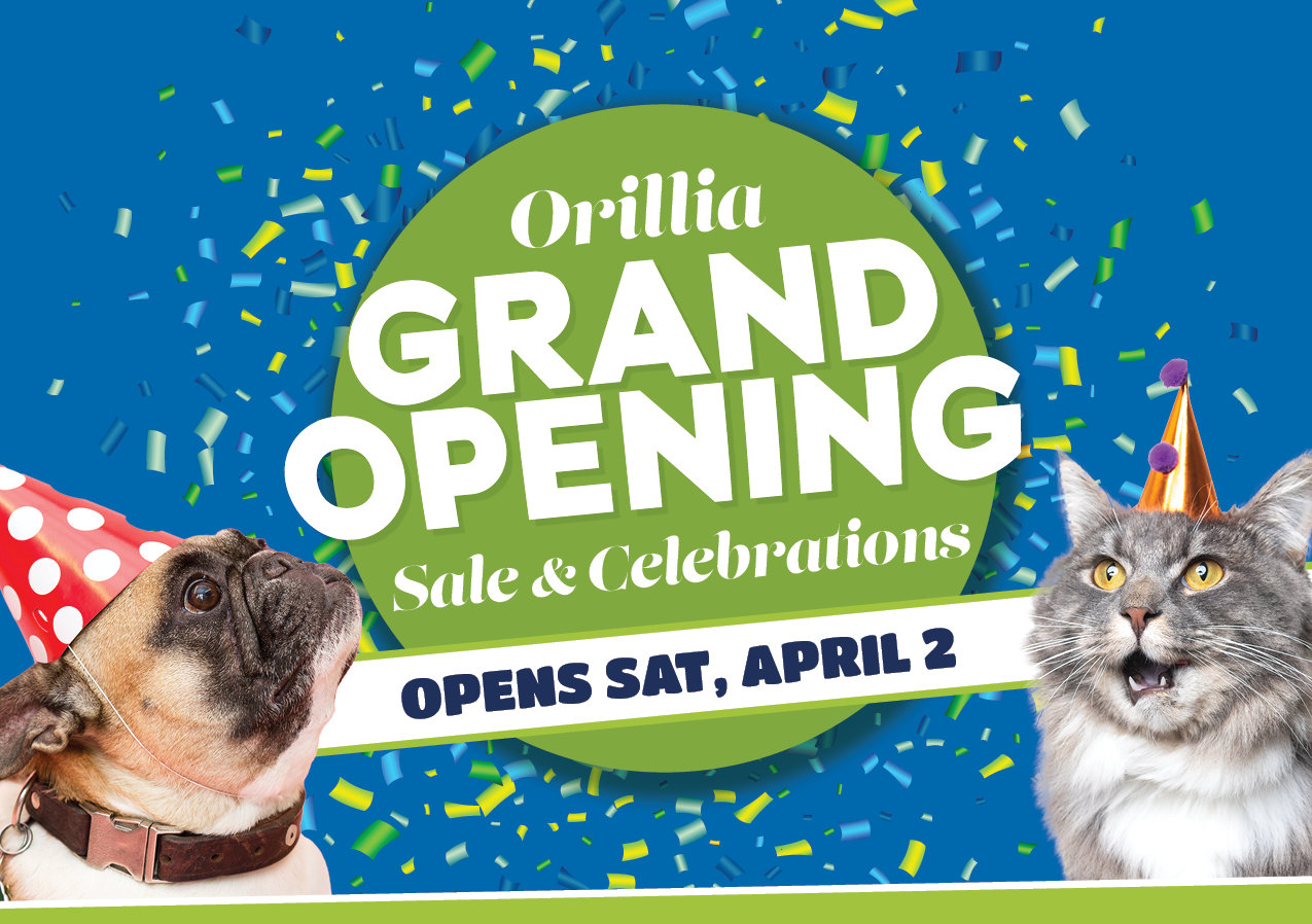 Orillia Grand Opening sale and celebration