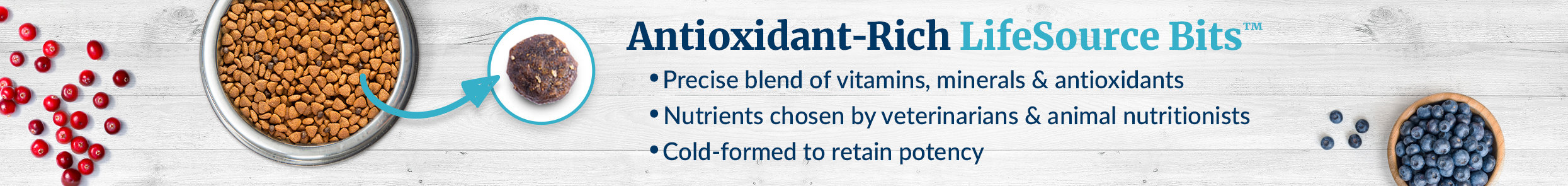 Antioxidant-Rich LifeSource Bits