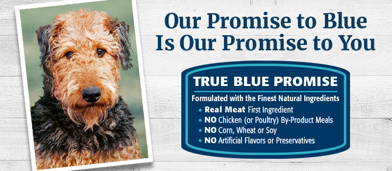 True Blue Promise
