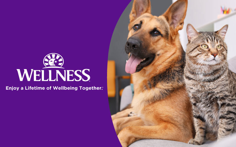 Wellness - Enjoy a Lifetime of Wellbeing Together