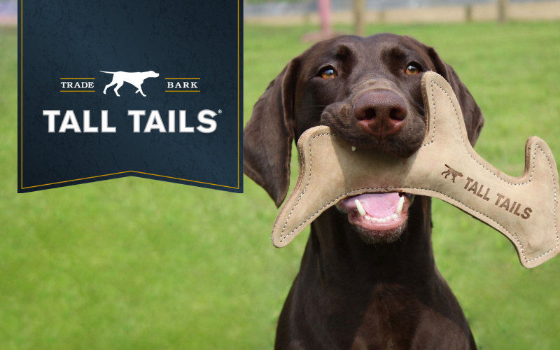 Tall Tails Natural Wool & Leather Bone Dog Toy, 6-in