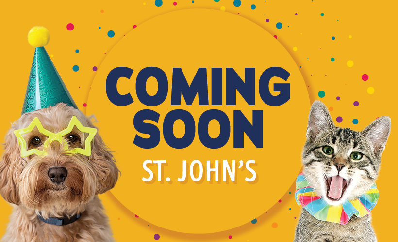 Saint John's location coming soon