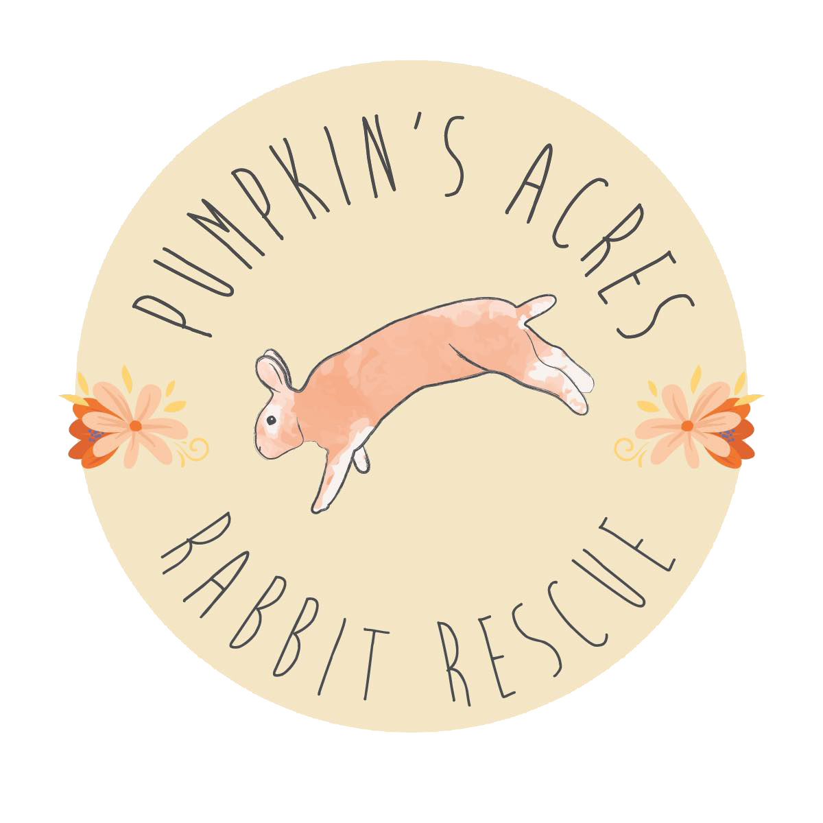 Pumpkin’s Acres Rabbit Rescue Supplies image