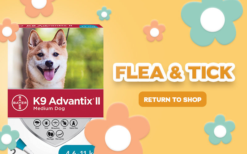 Flea and Tick Mobile Banner