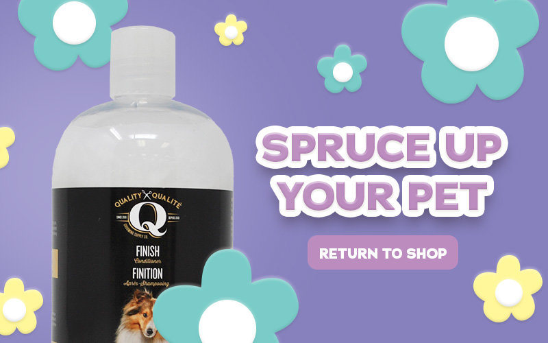Spring Spruce up your pet
