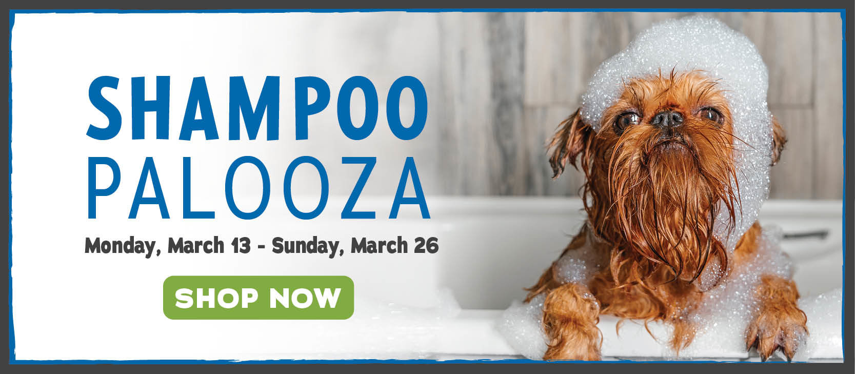 Shampoo Palooza - Grooming Flyer