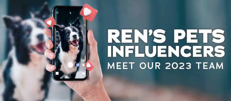 Ren's Pets Influencers Meet our 2023 Team and Watch our Video