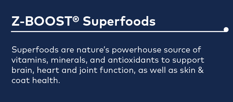 z-boost superfoods