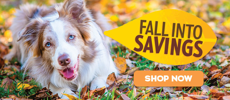 Fall into savings! Shop now