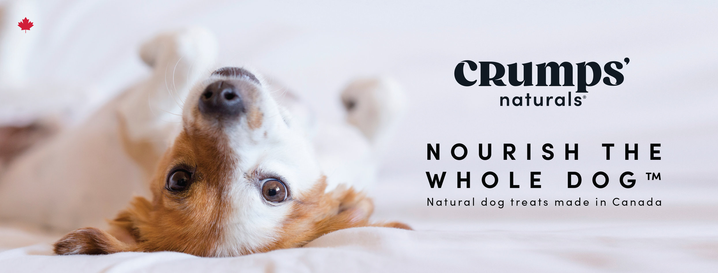 Crumps Naturals - Nourish the Whole Dog