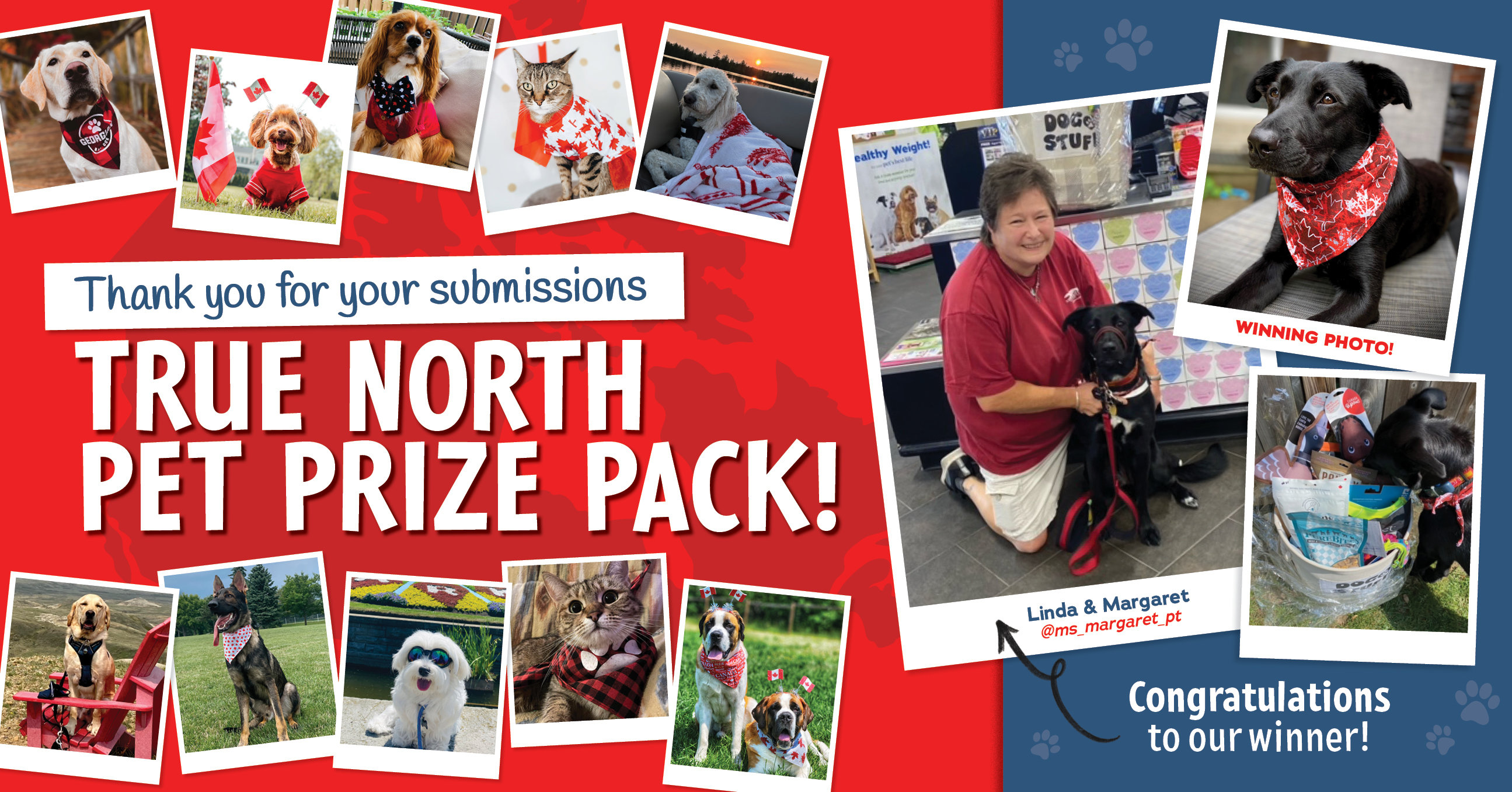 True North pet prize pack winner