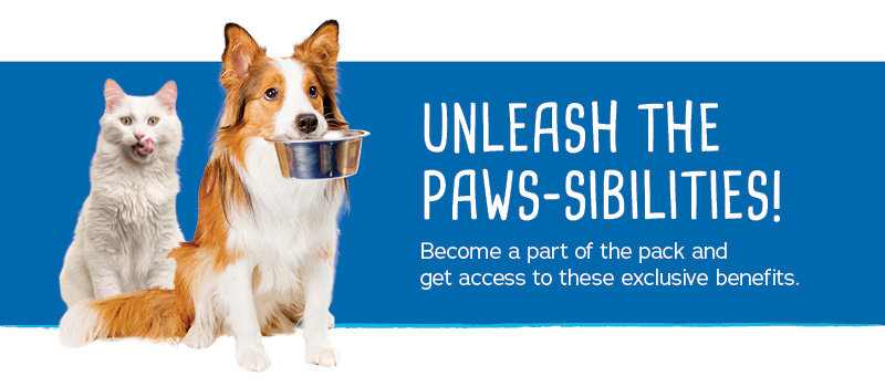unleash the paw-sibilities