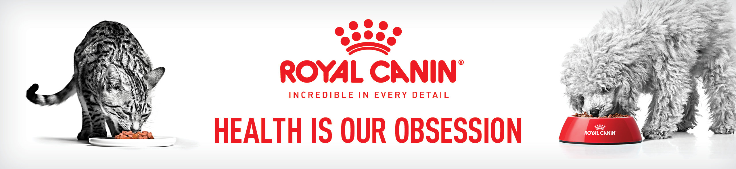 Royal Canin Main Banner