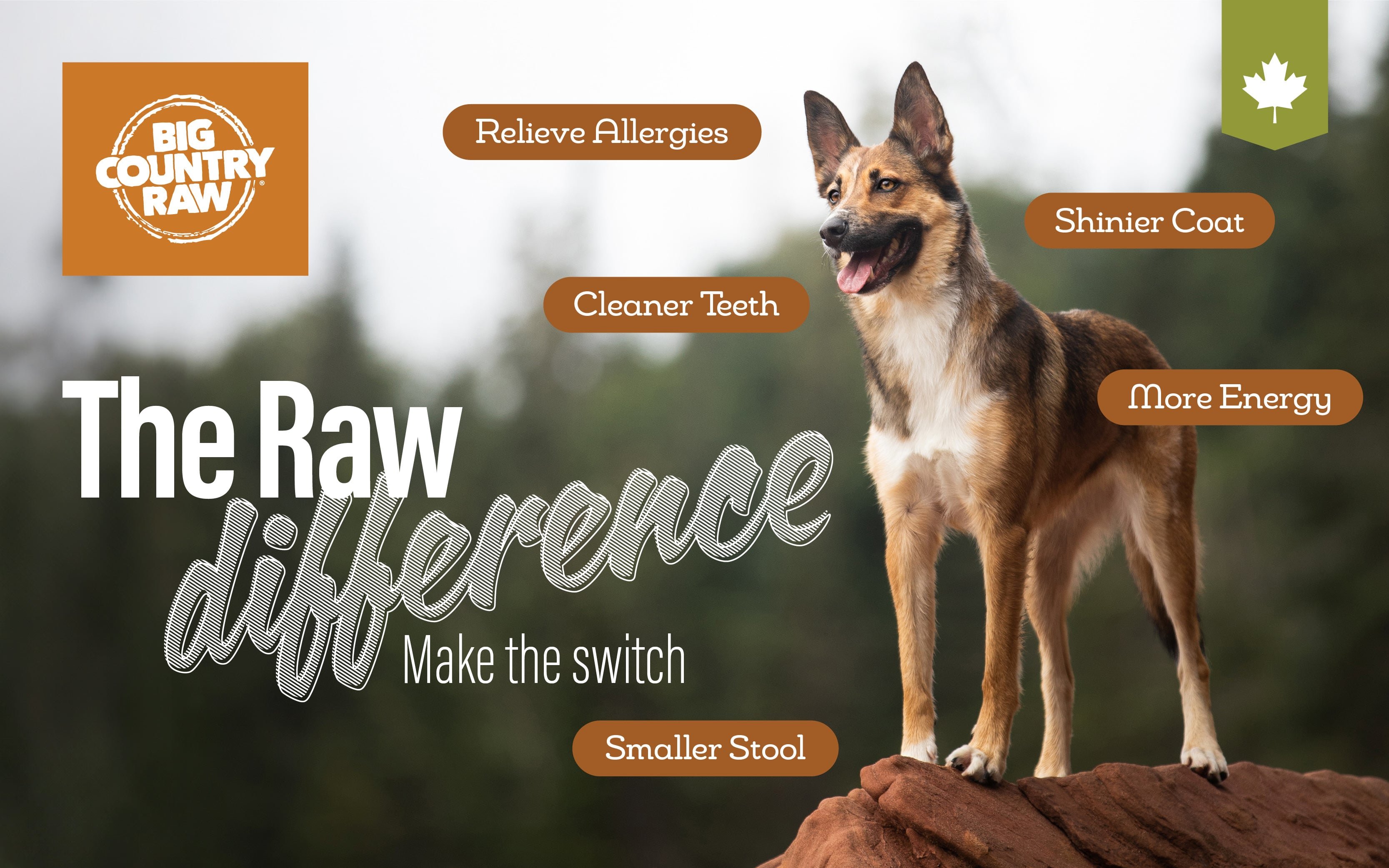 Big Country Raw - The Raw difference - make the switch - relieve allergies, cleaner teeth, more energy, shinier coat, smaller stool 