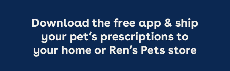 Download the free app and ship your pet's prescriptions to your home or Ren's Pets store