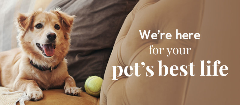 We're here for your pet's best life