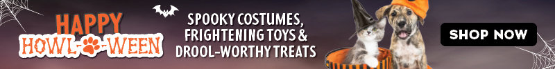 Happy Howl-o-ween Spooky Costumes, Frightening toys and drool worthy treats 