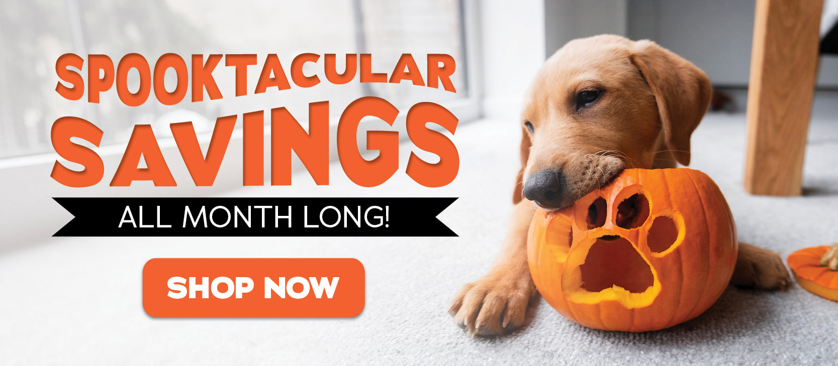 Spooktacular Savings - Shop Now