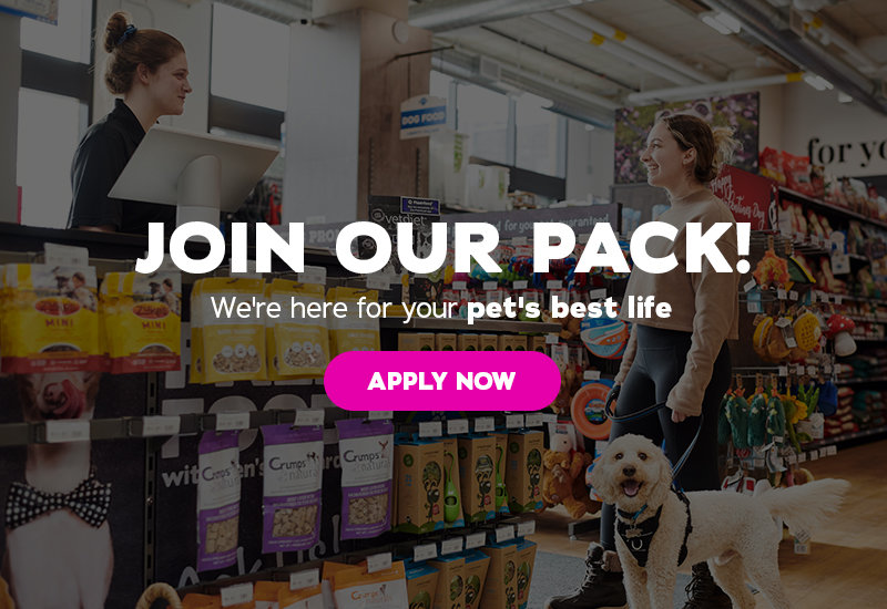 join our Pack! We're here for your pet's best life 