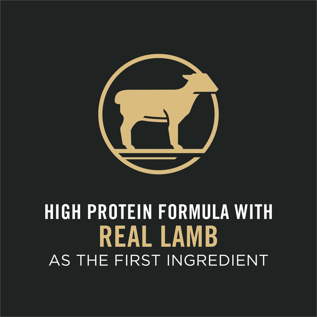 View larger image of Sensitive Skin & Stomach Adult Dry Dog Food, Lamb & Oat Meal Formula 7.26 kg