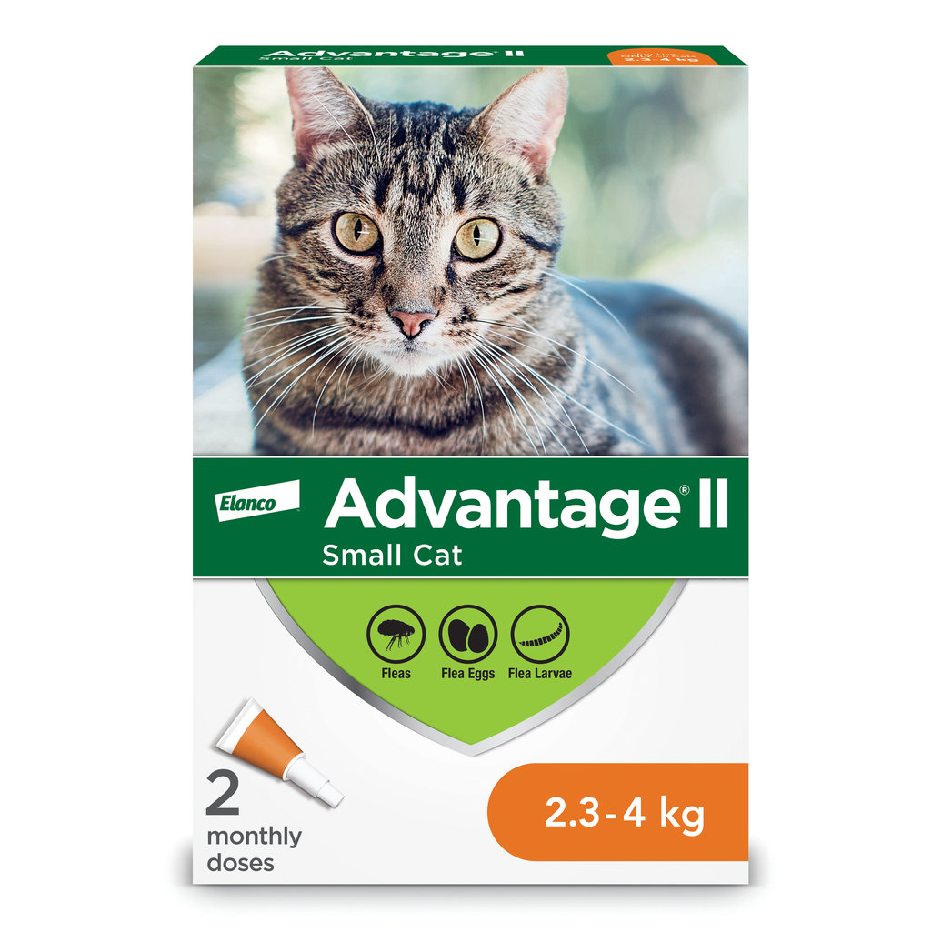 View larger image of Advantage II, Advantage II - Feline Adult - 2.3-4 kg