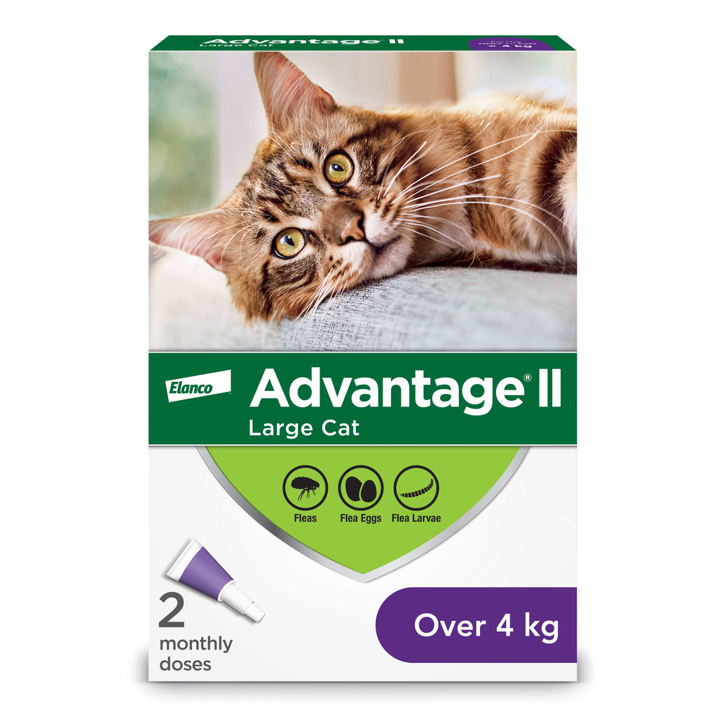 View larger image of Advantage II, Advantage II - Feline Adult - 4 kg+