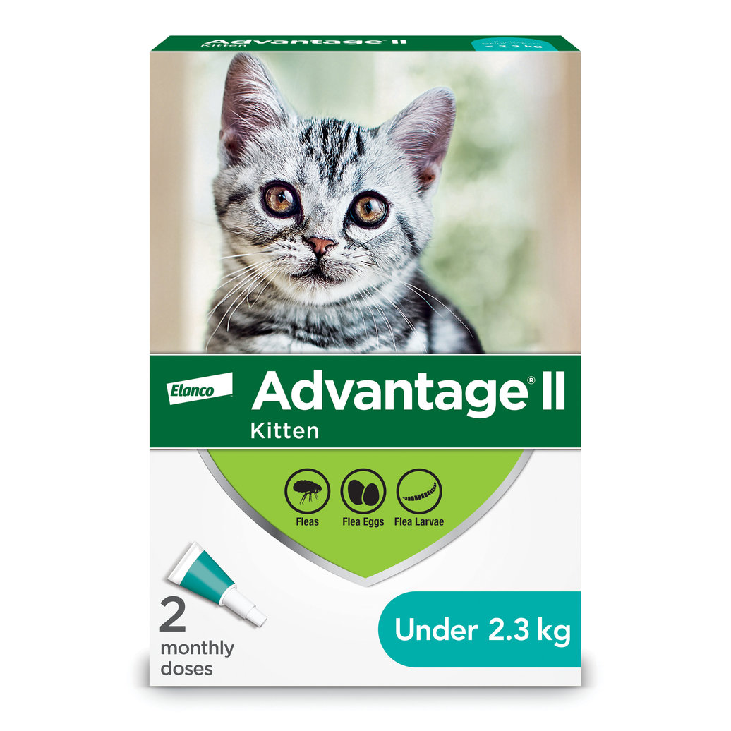 View larger image of Advantage II, Advantage II - Kitten - <2.3 kg