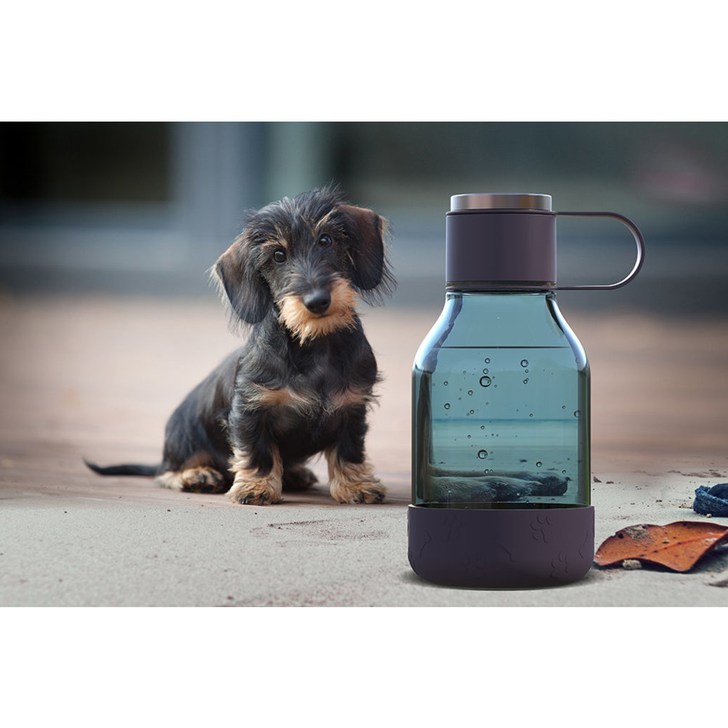 View larger image of ASOBU, Dog Bowl Bottle Lite - Burgundy