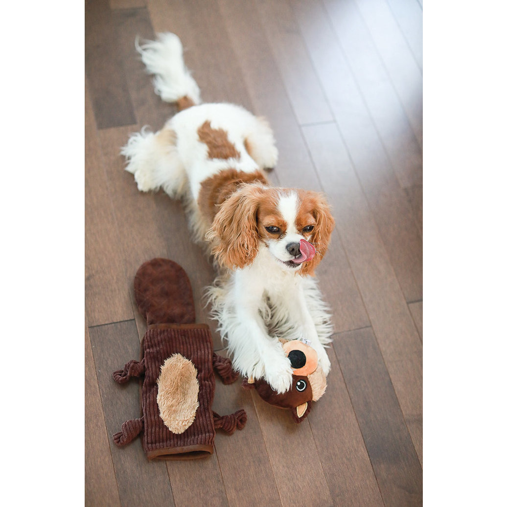 View larger image of BeOneBreed, Bernie the Beaver - Rebuildable Toy - Plush Dog Toy