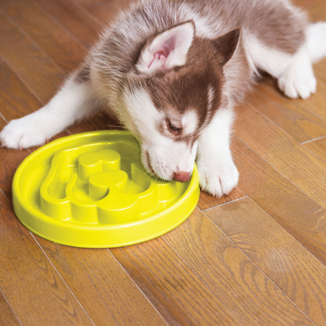 View larger image of BeOneBreed, Dog, Slow Feeder - Yellow