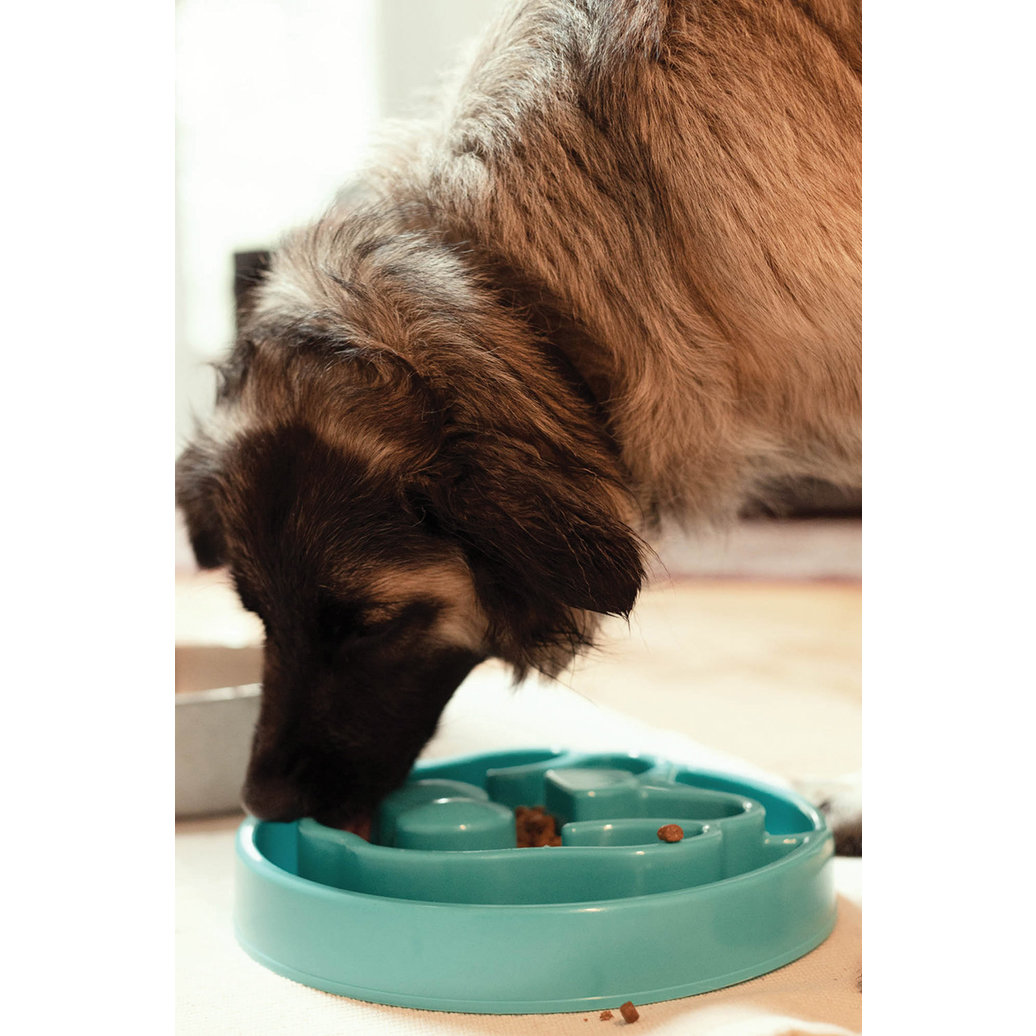 View larger image of BeOneBreed, Slow Feeder - Turquoise - Large - Dog Auto Feeder