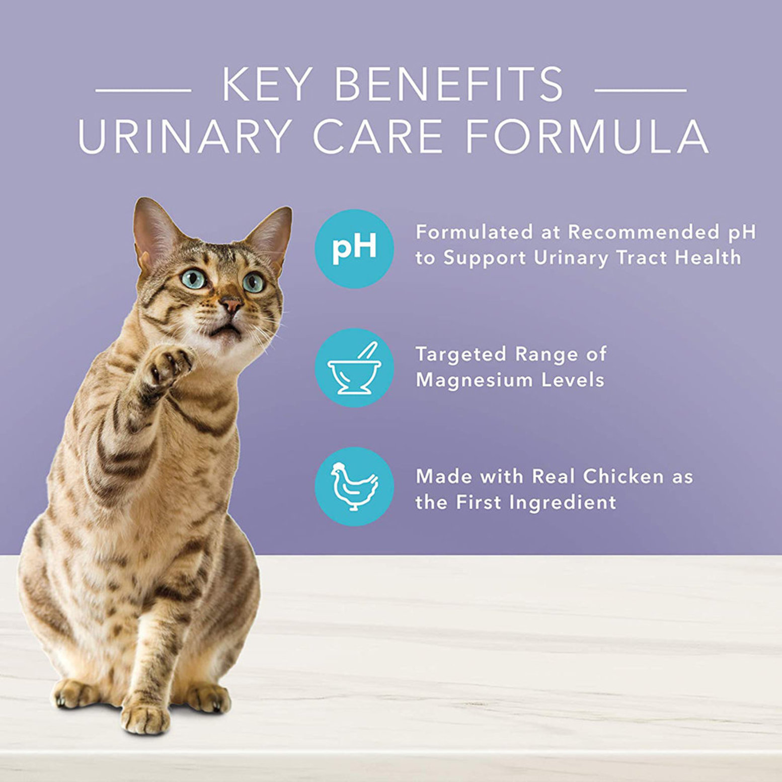 Blue urinary 2024 cat food