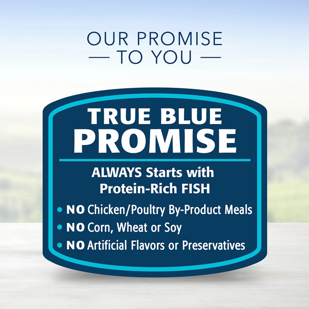 View larger image of Blue Buffalo, Homestyle Recipe Fish&Potato - 354 g