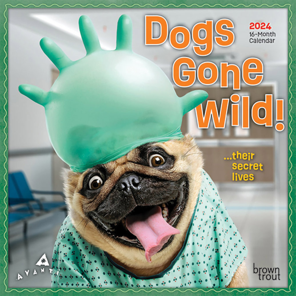 Browntrout,Calendar, 2024 Avanti Dogs Gone Wild 7x7" Ren's Pets