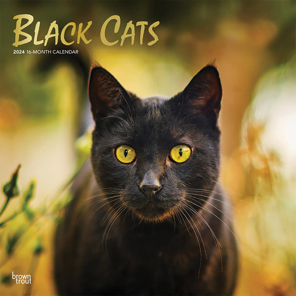 Browntrout Calendar 2024 Black Cats 12x12 Ren S Pets   Pdp Main 