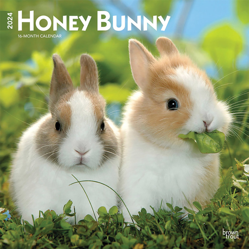 Browntrout Calendar 2024 Honey Bunny 12x12 Ren S Pets   Pdp Main 