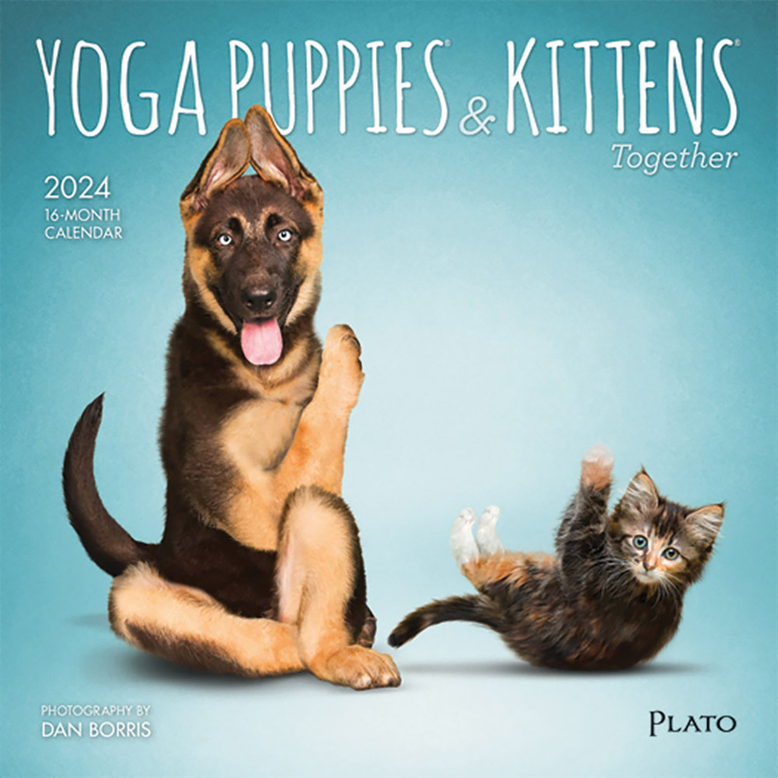 Browntrout Calendar 2024 Yoga Puppies Kittens 7x7 Ren S Pets   Pdp Zoom 