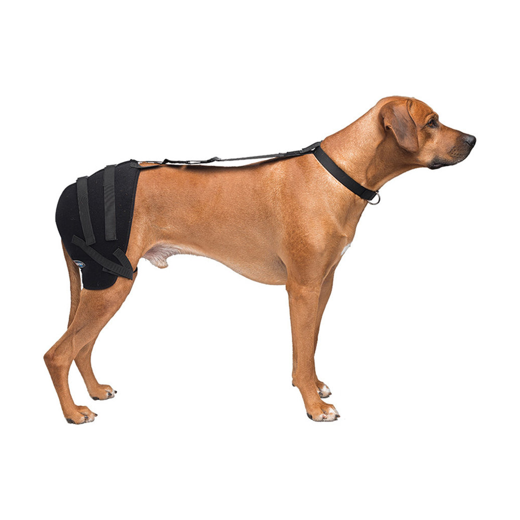 View larger image of Caldera, Pet Therapy - Hip Wrap w/ Therapy Gel