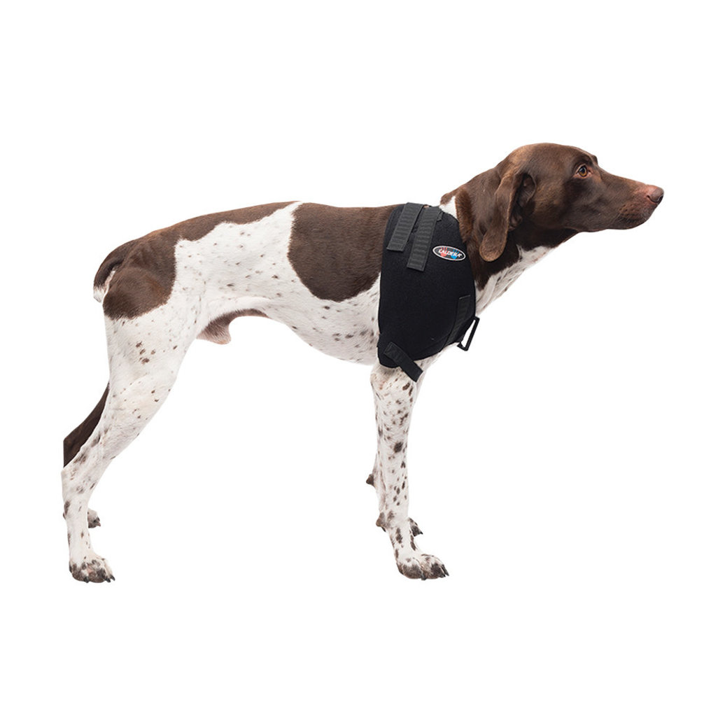 View larger image of Caldera, Pet Therapy - Shoulder Wrap w/ Therapy Gel