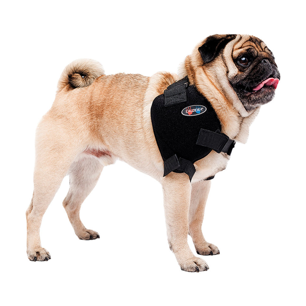 View larger image of Caldera, Pet Therapy - Shoulder Wrap w/ Therapy Gel