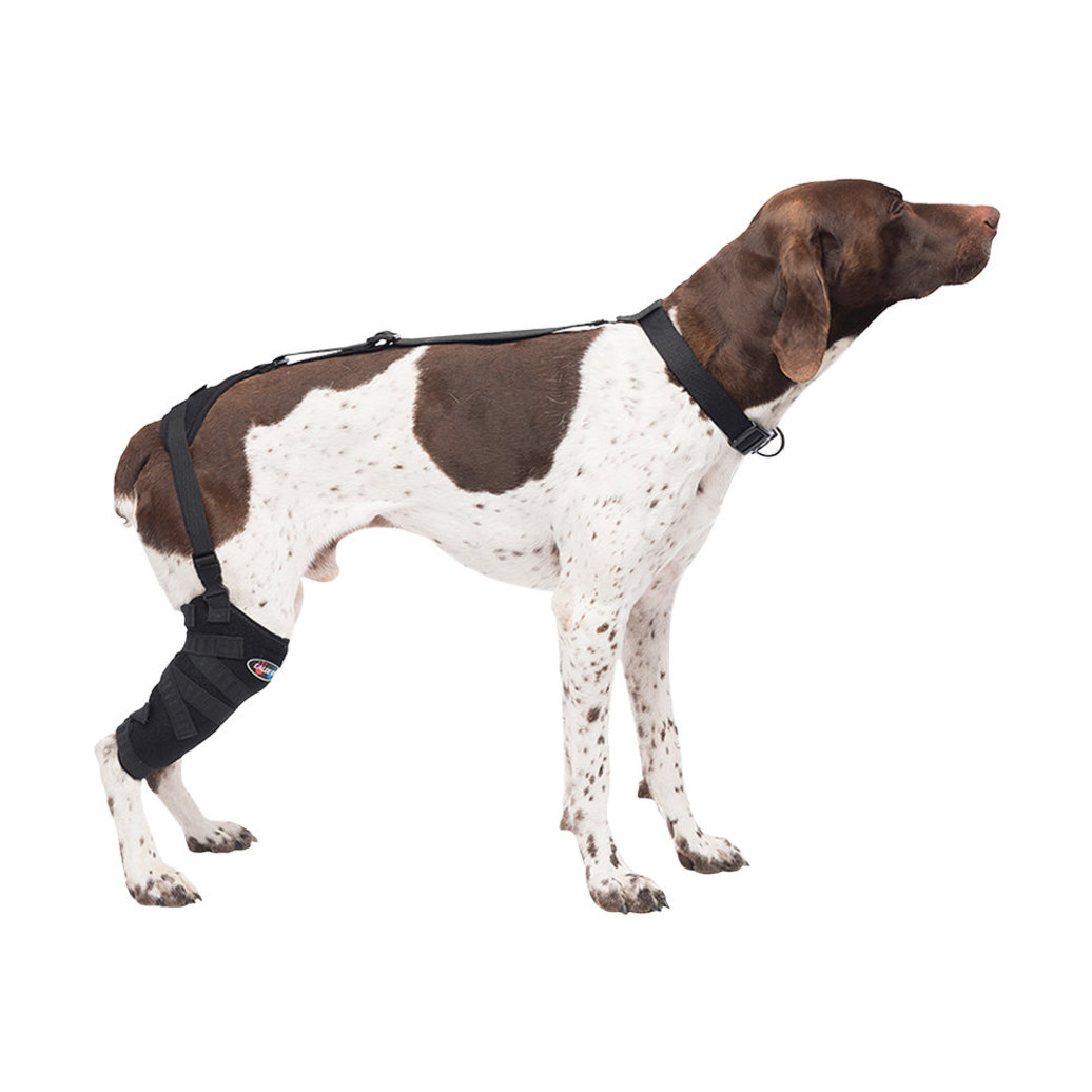 View larger image of Pet Therapy - Tall Stifle Wrap with Therapy Gel - Medium