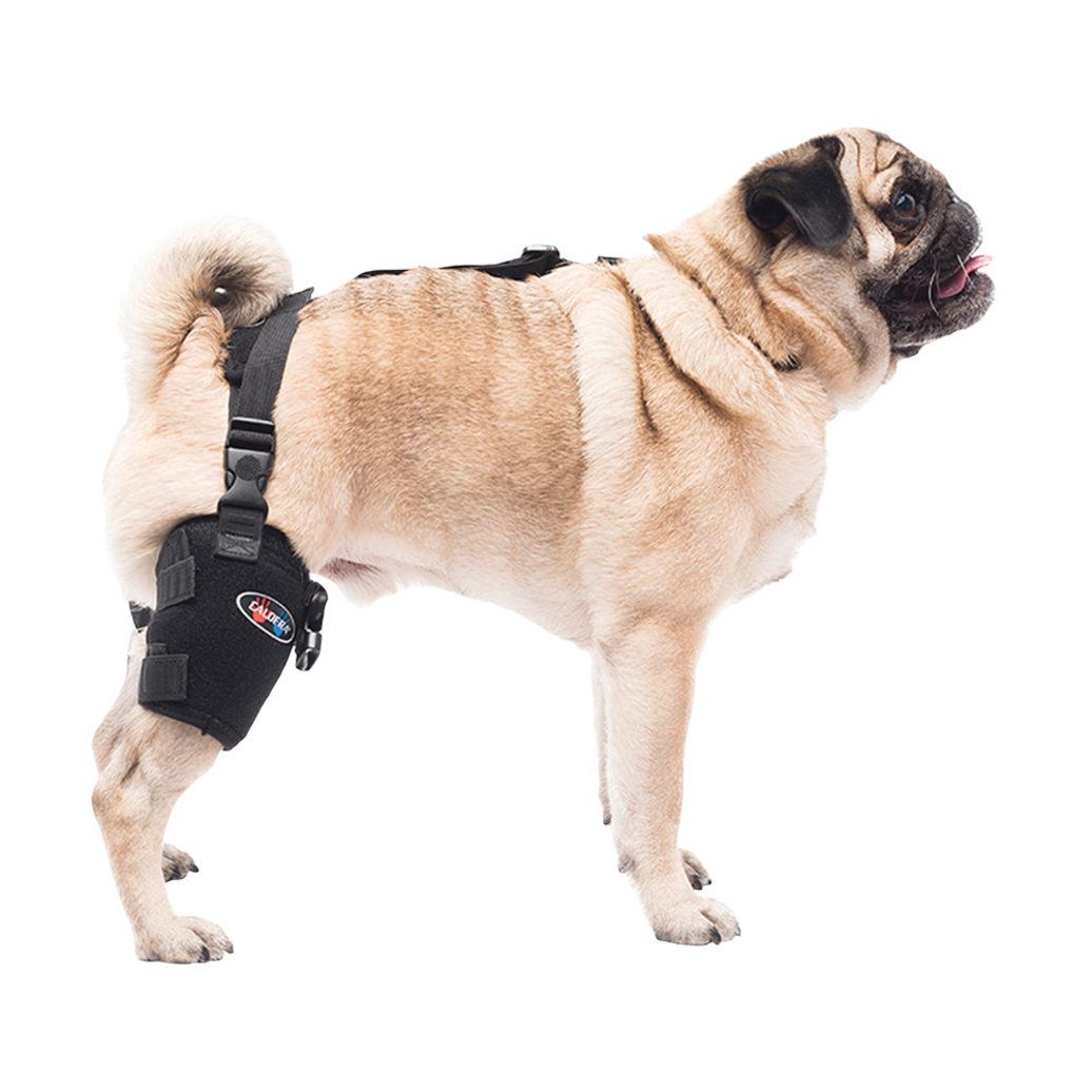 View larger image of Pet Therapy - Tarsal/Stifle Wrap with Therapy Gel - Small