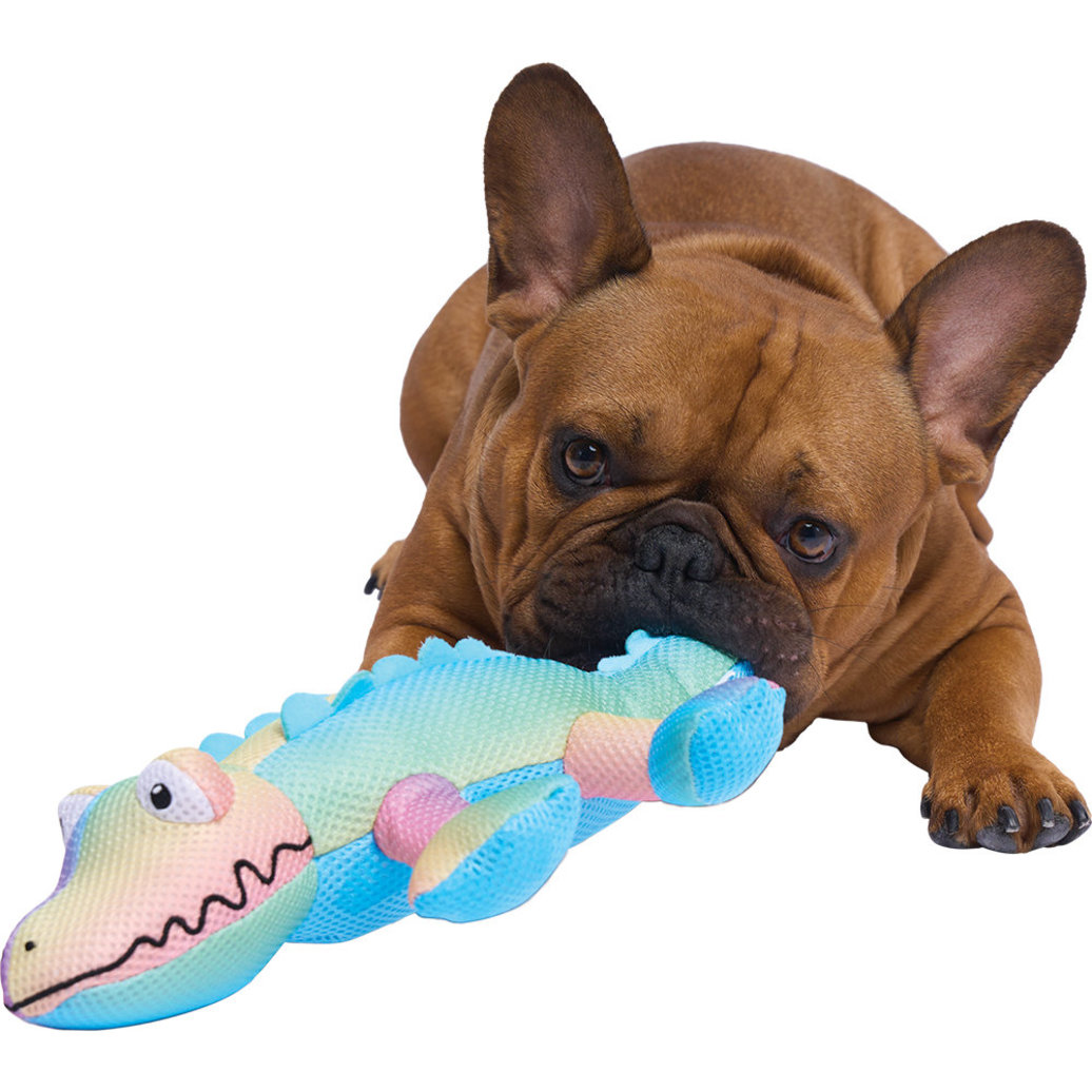 View larger image of Canada Pooch, Chill Seeker Cooling Pals - Rainbow Crocodile - Plush Dog Toy
