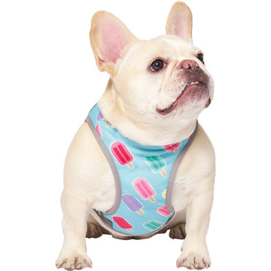 Canada Pooch, Chill Seeker Cooling Vest - Popsicles