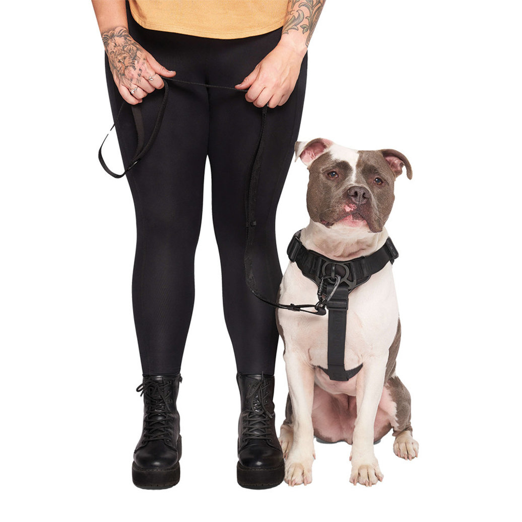 View larger image of Canada Pooch, Complete Control Harness - Black