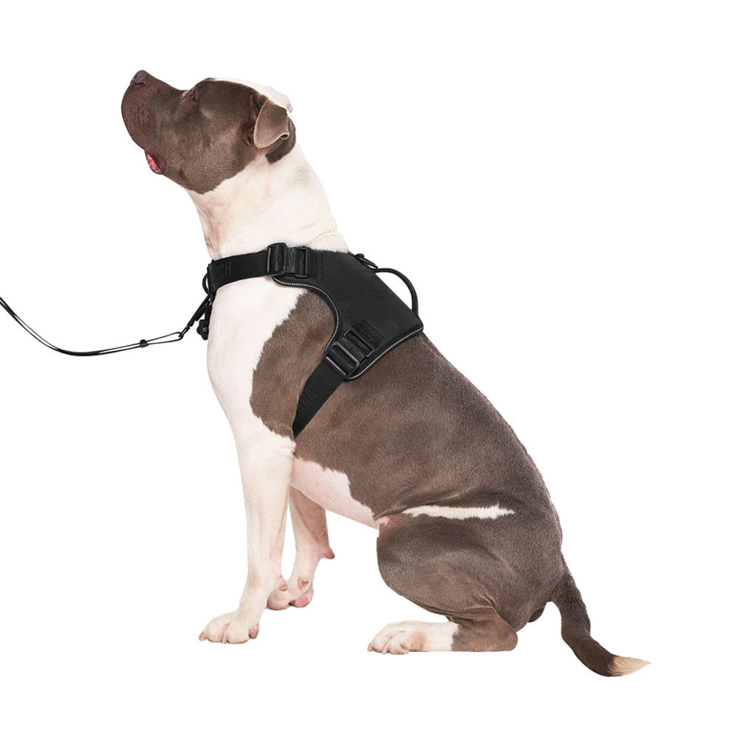 View larger image of Canada Pooch, Complete Control Harness - Black