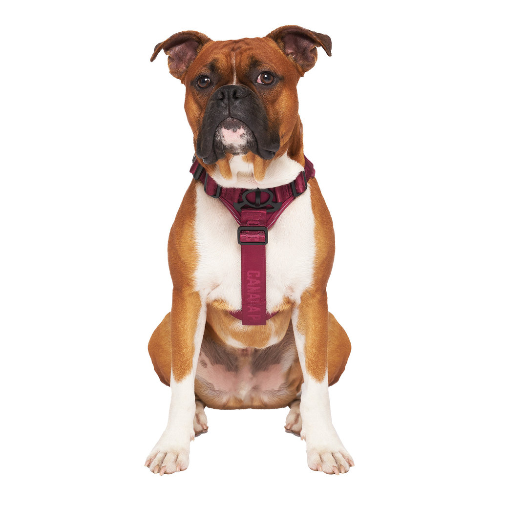 View larger image of Canada Pooch, Complete Control Harness - Plum