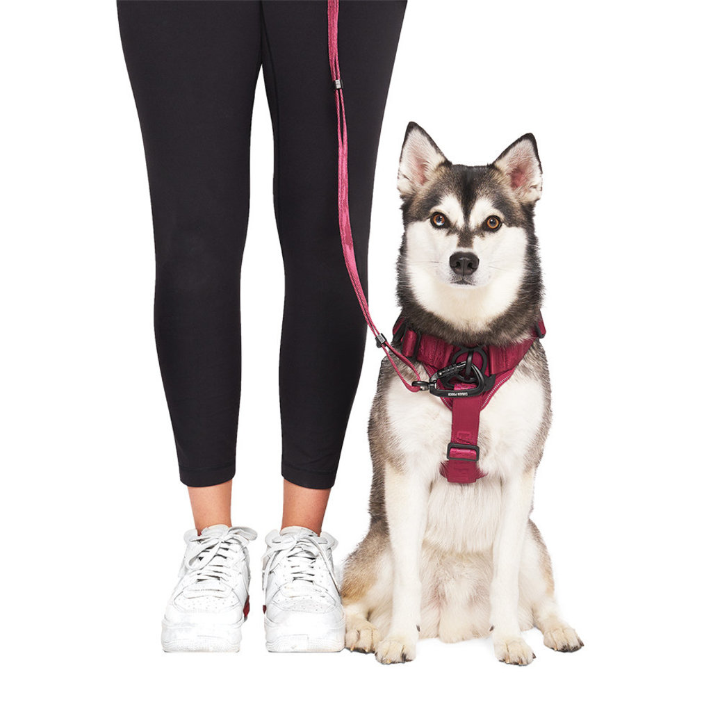 View larger image of Canada Pooch, Complete Control Harness - Plum