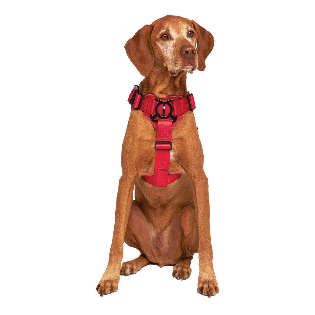 View larger image of Canada Pooch, Complete Control Harness - Red
